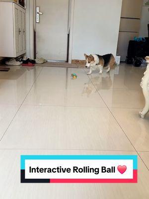 Interactive Rolling Ball 🧶❤️ #dogtoys #rollingball #dogball #dogproducts 