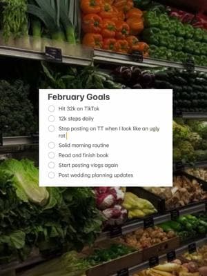emphasis on the stop posting on the internet looking like an ugly rat :) ALSO stole from @ariana 🤪🤪 #feburarygoals #monthlyreset #reset #routine #monthlygoals #goals #febgoals 
