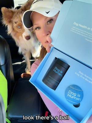 Big thank you to @Dog is Human for sending Loki a PR box! 🐶💙 He absolutely LOVES the vitamins (approved by the pickiest pup ever) and is obsessed with the tennis ball! 🎾✨ If you want to treat your furry best friend to some amazing supplements, be sure to check them out and give them a follow! 🐾 #DogIsHuman #DogSupplements #HealthyPup #PRGift #doginfluencer 