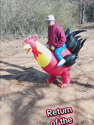 Chicken Man #chicken #chickendance  #chickenman 