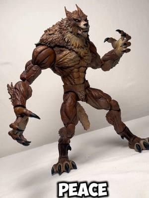 Woof 🐺 #Bbts#werewolf#monster#actionfigures#figtok#boonedox01#review 