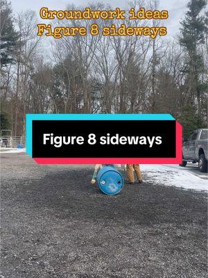 Just in case you needed a groundwork idea 😊 figure 8 sideways is a medium difficulty #horse #horses #pferd #groundwork #bodenarbeit #figures #figure8 #sideways #cece #ispiration #yourewelcome #havefun #winter #frozen #ground #equestrian 