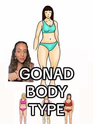 Replying to @Ell❤️‍🔥 do you have the GONAD BODY TYPE?? 👀 this type is characterized by excess estrogen *in relation* to progesterone, aka estrogen dominance! This contributes to a lower body fat distribution pattern, often with cellulite) and fluid retention/puffiness, especially with that lower leg heaviness that leads to things like sock imprints around the ankles. You also tend to be motherly and nurturing due to the oxytocin x estrogen combo — sometimes to a fault, leaving you feeling like you’re constantly pouring from an empty cup: emotionally drained and burnt out 🫠 #estrogendominance #gonadbodytype #hormonalbodytyping #weightlossforwomen #cellulite #pms #pmsproblems #greenscreen 