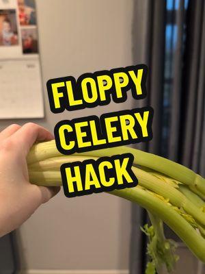 Don't throw your celery away. Revive it! Who else never uses all the celery before it's floppy? #fyp #celeryhack #celery #CookingHacks #floppyiswhack