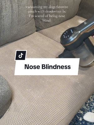 anyone else scared of being nose blind?? I’ll take all the good smelling stuff to prevent it #noseblind #noseblindness #deoderizer #mavwicks #mavwicksfragrance #vacuumcleaner #vacuum #allinonevacuum #stickvacuum #inselife #insevacuum #letsclean #bestvacuum #inse 