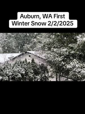 First Winter Snow Auburn, Washington 2/2/2025 #snow #pnw #auburnwashington #auburn #weather #winter #scenery