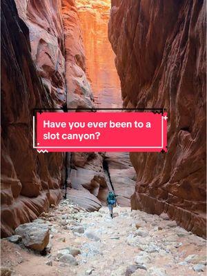 Slot canyons in Utah! If you have never been, definitely a must do!  #visitutah #utahisrad #utahgram #landscape_lovers #global_creatives #mountainsarecalling #slotcanyons #utahrocks #usinterior #americasbestidea #womenwhohike #slotcanyon #fantasticearth #natures_hub #utahhiking #utahisrad #visual_heaven #awesome_earthpics #exploreutah #hikeutah #hikelife #exploremore #wanderxwonder #americanview #goatworthy #hikingadventures #lastbestplace 