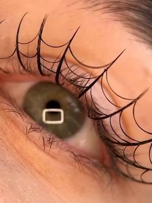 oooohh!!! 🥰👍👌😉 #eyelashes #fashion #style #spiderwebs #web #design #fun #unique #want #goals 