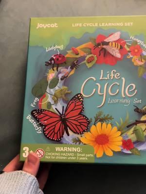 #learning #butterfly #bee #ladybug #kidsoftiktok #MomsofTikTok #funlearning #homeschool #lifecycle 