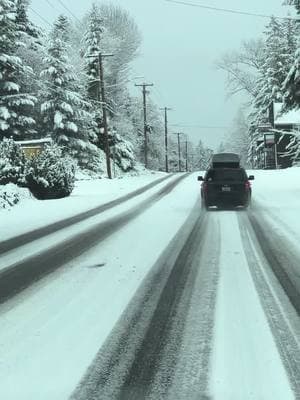 Take a lil ride with me up into the hills of Mt. Rainier 😉 #washingtonstate #mtrainier #ashford #elbe #alder #eatonville #snow #snowday #family #roadtrip #winter 