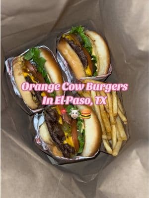 My favorite burger so far 🍔  📍1060 Nuevo Hueco Tanks Rd #orangecow #burger #burgerspot #foodtruck #elpasotx #elpaso #elpasolocal #localbusiness #fyp 