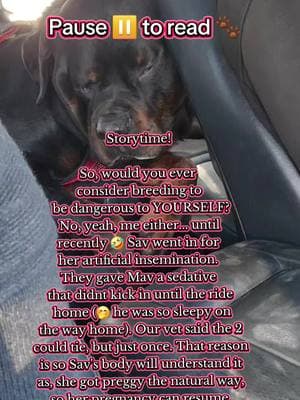 #breederlife #rottweilerbreeder #fyp #fypシ #dogsoftiktok #fypviral #viralvideo #rottweilermom #foryourpage #fyyyyyyyyyyyyyyyy 