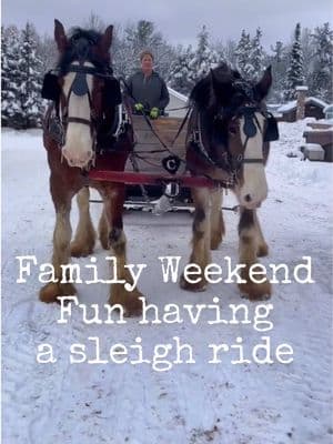 WiNTER WONDERLAND #bigfamilylife #justthebells10 #throwbacks #familystorytime #sleighride #clydesdale #winterishere 