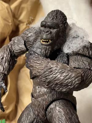 Shimo’s curiosity is getting a bit too uptight ##GodzillaXKong#kong#shimo#ted#godzillaactionfigures#comedy