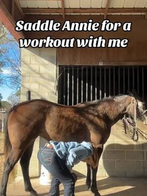 Quick little get ready with me “barrel horse trainer edition”😂 #greenscreenvideo #fypage #winter #barrelracing #barrelracingtrainer #barrelbetty #barrelracers #barrelbettysoftiktok #fyp #easterncarolina #barrelhorse #barrelracingtok #barrelracerland #barrelracer #cowboy 