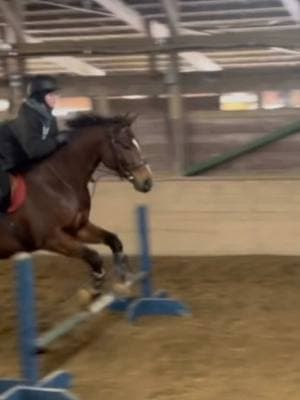 So so good for our first lease lesson and pre birthday ride <3 #horsesoftiktok #horseboy #horsegirl #equestrian #maleequestrian #hunterjumper #hunter #jumper #flatwork #horses #ottb 