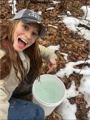 Day 4 of Maple Tapping Season: A FULL 5-GALLON  BUCKET!🙌  #maplesyrup #maplesyrupseason #maplesyrupday #mapletapping #homestead #selfsufficient 