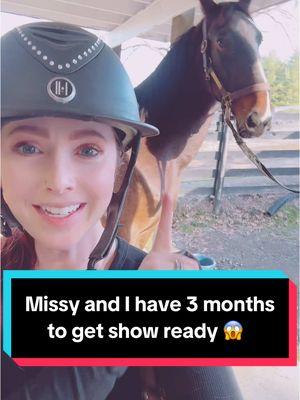 I don’t know if we will *ever* be ready but what the hell yolo 🫎 🦙 #horsetoker #horsetok #equestrian #equestriansoftiktok #dressage #dressagerider #showjumping #eventing #horsegirl #horsegirlvibes #missythehorse #horseshow #fyp #foryou #foryoupage 