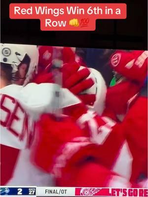 OT GOAL! #LGRW now #Detroit is on fire, sports wise! The Wings just won their 6th in a row! #Redwings #Detroit #HockeyTown #NHL #OvertimeGoal #AlexDebrincat #DetroitRedWings #LGRW #GoWings 