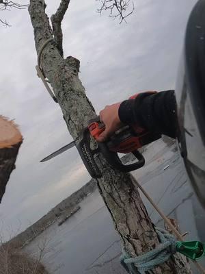 them dog days of winter… 🥱 #climber #treeguy #trees #treeremoval #treeexpert #tree #treesurgeon #treeclimber #moneygrowsontrees #getrichorclimbtrying #gopro #husqvarna #fyp #fy #lumberjack #fitness #bluecollar #treework 