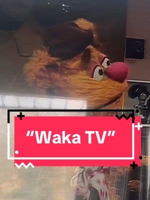 He strolls around the house on a daily basis shouting “WAKKA WAKKAAAAA” #fozzybear #wakawaka #muppets #kermit #fozzy #kermitthefrog 