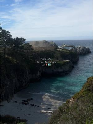 #hike #beach #pointlobos #carmelcalifornia #californiaadventure #fyp 