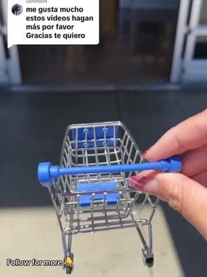 Mini Shopping 🛒 #minis #miniature #miniaturas #minisuperstore #foryoupage #fyp #foryou #anniegvideos #minis #annieg #oddlysatisfyingvideo #oddlysatisfying #viralvideos #viral #tinythings #minibrands #funnyvideos #viralvideo #toytok #toys #juguetes #minibrands 