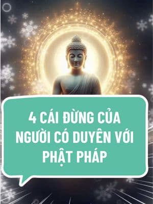 4 CÁI ĐỪNG CỦA NGƯỜI CÓ DUYÊN VỚI PHẬT PHÁP ✨❤️‍🩹🙏 #tichphuccaimenh #phật #adidaphat #xh #phậttạitâm #followers➕ #xuhuongtiktok #cuộcsống #tâmtrạng #nhẫn #buddhateachings #🙏 #tu 