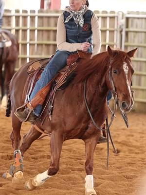 A little #MondayMotivation to start the week!  ##tracysurlescuttinghorses #ncha #cutting #cuttinghorse #cowhorse #horseshowprep #horseshowing #gettingready #horsesoftiktok #equestriansoftiktok #fyp 