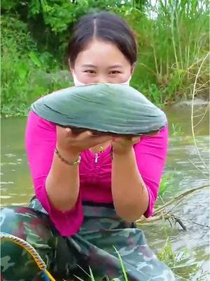 😱😱unbelievable! Pry open the giant clam, inside are countless precious pearls, each one so charming #pearl #pearlhunter #jewelry #seafood #pickingpearls #huntingpearl #fyp #foryou #tiktok 