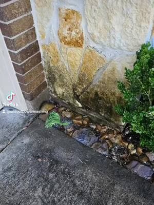 Natural Stone Soft Washing Service - On Spot Power Washing #fortbendcounty 