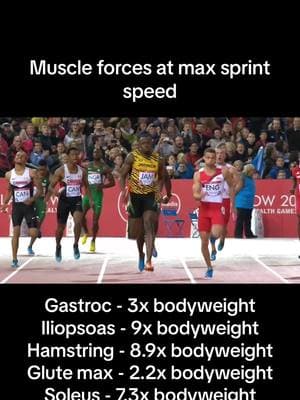 Speed program in bio #sprinting #usainbolt #sprint #sprinter #sprints #speedtraining 