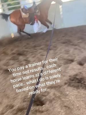 Can never be too cautious.. you want each experience to be a good one! #horsetraining #horse #equestrian #cowboy #horsemanship #blackcowboy #arabian #equine #forsale #hunterpleasure #fyp #Love #work #Lifestyle #showhorse 