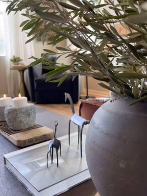 Coffee table styling. 🫶🏻 . Happy Monday!  . #amazon #interior #interiordesign #homedecorideas #homedecor #fyp #fyp #curatedhome #springhomedecor #interiordesigns #restorationhardware #rusticluxury #interior #stylinginspo 