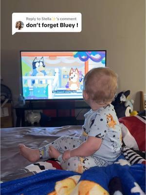 Replying to @Stella✨  We’re a Bluey household over here💙 #bluey #lowstimulatingshows #MomsofTikTok #screentime 