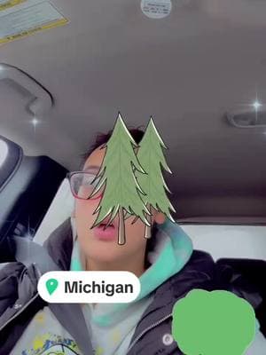 Stop chopping down the trees in Michigan!!  - #Michigan - #PureMichigan - #MichiganNature - #ExploreMichigan - #MichiganThumb ### Deforestation - #Deforestation - #StopDeforestation - #SaveOurForests - #ForestsMatter - #DeforestationAwareness ### Planting Trees - #PlantATree - #TreePlanting - #Reforestation - #PlantForThePlanet - #TreesForFuture ### Combination Ideas - #MichiganForests - #PlantTreesInMichigan - #ProtectMichigan - #RestoreTheThumb - #GreenMichigan