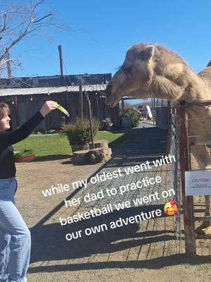 a day at the farm with my youngest 🥰 #farm #farmanimals #childhood #halfmyheart 