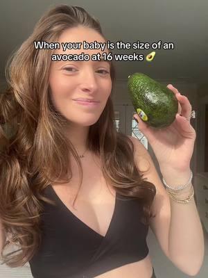 Obsessively tracking the fruit size of my baby each week 😂🥑 anyone else?!  #pregnant #pregnancy #pregnancybump #bumpdate #16weekspregnant 