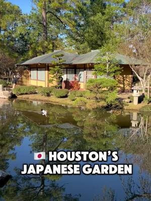 Have y’all been to Houston’s Japanese Garden? #houstontx #japanesegarden #hermannpark 