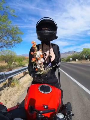 saw some cute flowers, had to bring them to my friend, they stayed on for a while throughout the ride😳 @CRSC_Riders  #motorcycle #motorcyclesoftiktok #motolife #kawasaki #sportsbike #ninja400 #kawasakininja400 #bikergirl 