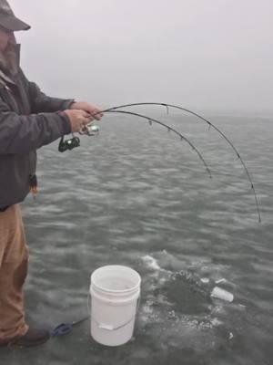 Doubling up icefishing!! #hugecatfish #piscifun #icefishing2025 #jasonhyman #jasonsfishguides #captainredbeard #fishing #bluecat 