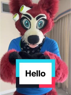 Happy Monday everyone! #furry #petethefox #foryou #cutefurry #furry4life #owa #furryproud #partialfursuit #furrytrash #4upage #fyp #furryfandom #furrytiktok 