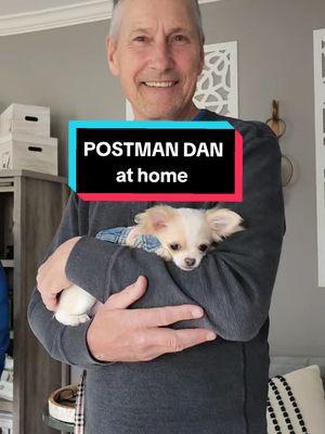 Special home visit!! #PostmanDan #frannielife #graciebeane #FranDan  #puppytiktok #chihuahuas #longhairedchihuahua #cutepuppies #frannieandthebeane 