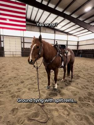 What do you do?🤔 #maresoftiktok #horsesontiktok #horselover #barrelracing #cowgirls #equestrian #katievanslyke #aqha #horsetraining #horserehab #fyp 