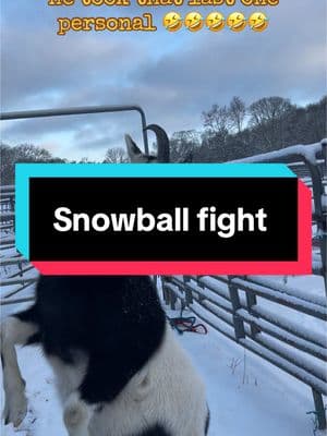 Yes, me and my goat play like that 🤣🤣 it takes a little to get Lärry going #goat #goatsoftiktok #lärrythegoat #fanfavorite #goats #lärry #snowball #snowballfight #funnyvideo #funnyanimals 