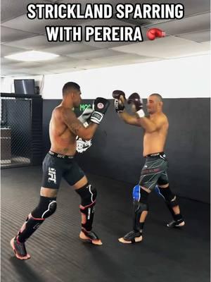 #SeanStrickland #AlexPereira #UFC312 (via alexpoatanpereira/IG) #UFC #UFC313 #training #sparring #combatsports #MMA 