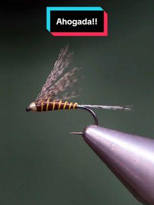 My FAILED attempt at an Ahogada.. This fly is not easy at all. Very humbling to say the least. Hook: @AhrexHooks FW501 size 14 Thread: Magpie Materials 72D  Floss: Not sure  Rib: Lagartun  Wing and tail: Gallo de Leon Tools: TheFlySmith  #TheFlySmith  #flytying #magpiematerials #magpieturkeybiots #magpiefinebeaverdubbing #whitingfarms #naturesspiritflytying #lidrig #fly #flytyingjunkie #flytyingtutorial #flytyingaddict #flytok #satisfying #flytyingnation #fyp #harelinedubbin  #fishing #flyfishing #pescamosca #Upavon