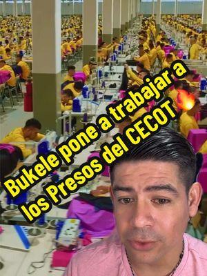 Bukele pone a trabajar a los presos en el CECOT🔥🇸🇻 . . . . . . . #usa🇺🇸 #noticiastiktok #US #ultimahora #usa_tiktok #cecot #bukele #pandillas 