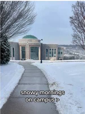 Just perfect❄️  #fyp #marist #maristuniversity #university #maristcollege #collegelife #collegeapps #winter #wintercampus #hudsonvalley #newyorkcolleges 