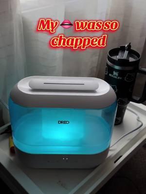 No chapped lips over here #humidifier  #airmist #CleanTok #dryair #cleanhouse #fy #creatorsearchinsights 